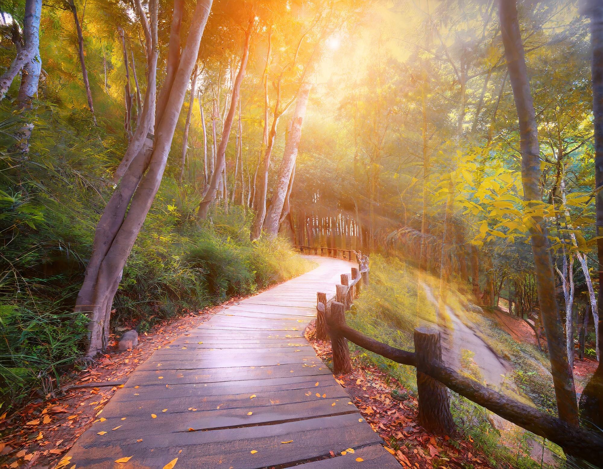 Navigating the Emotional Terrain: Healing from Chronic Health Issues