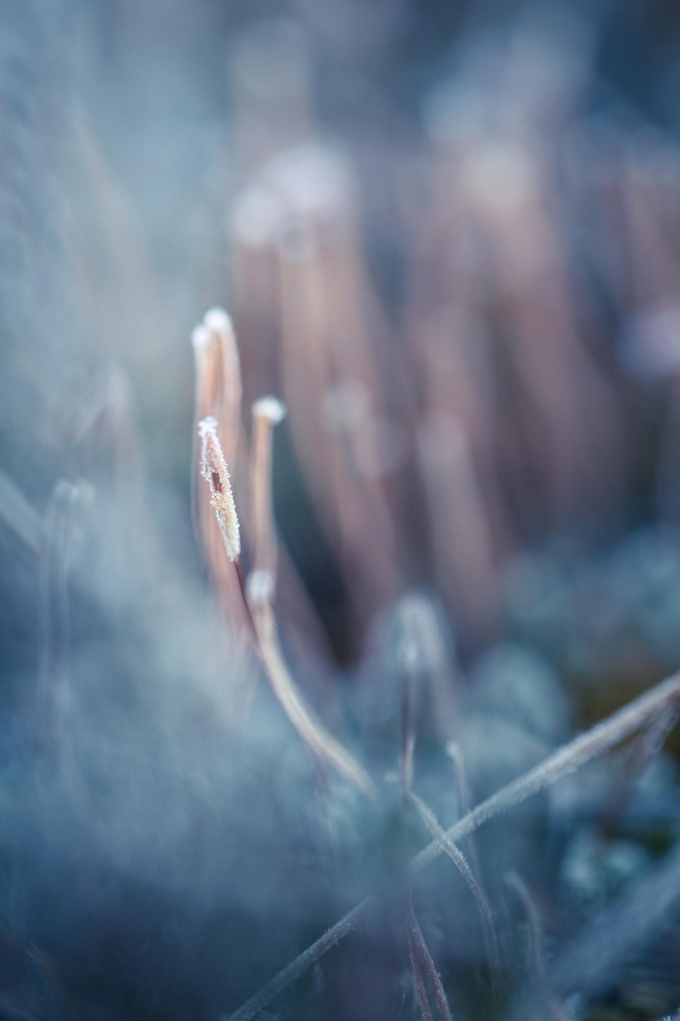 Unspoken Autoimmune Symptoms: What They Really Mean for Your Health Journey