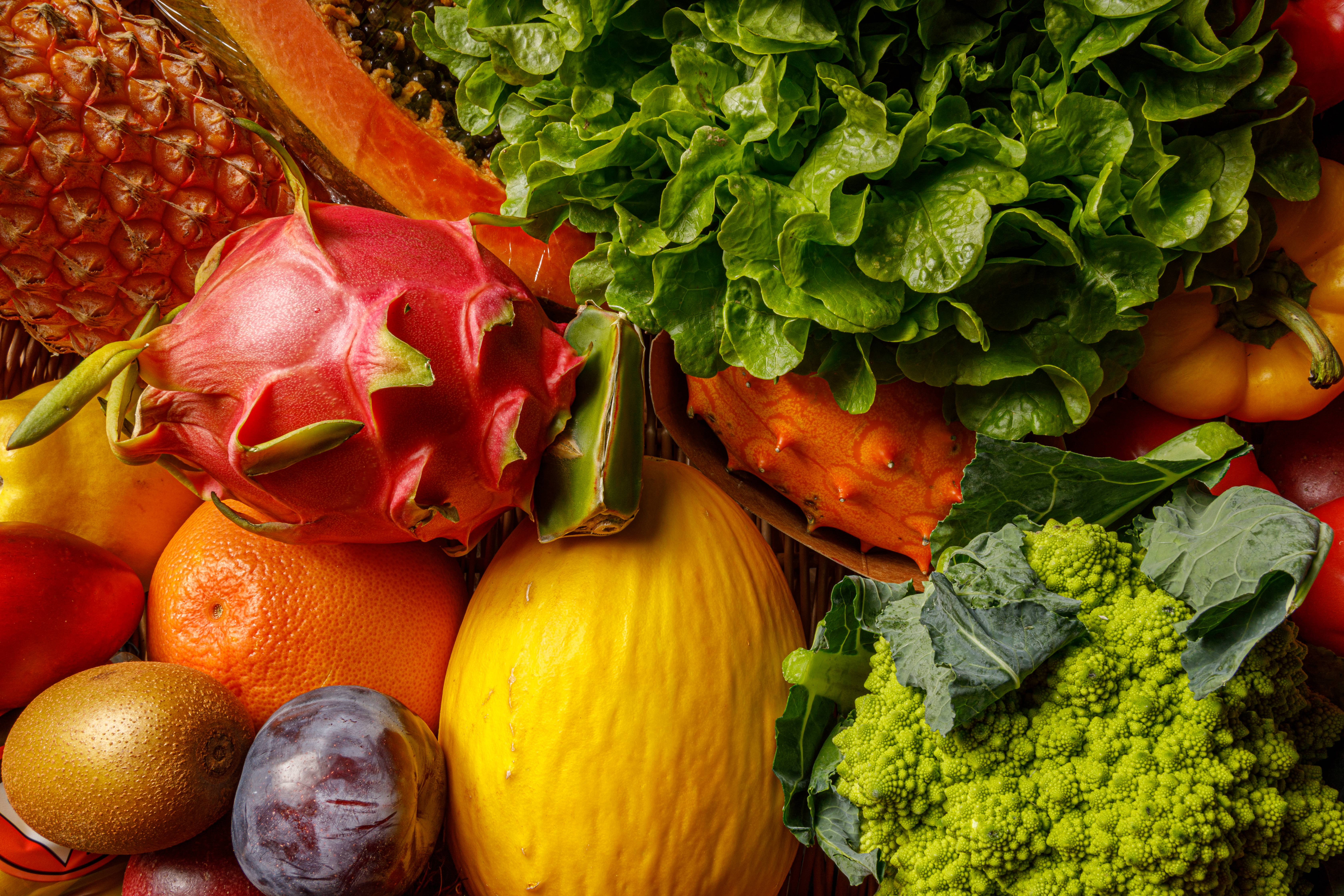 Unlocking the Secret to Better Energy and Digestion: Your Microbiome’s Role