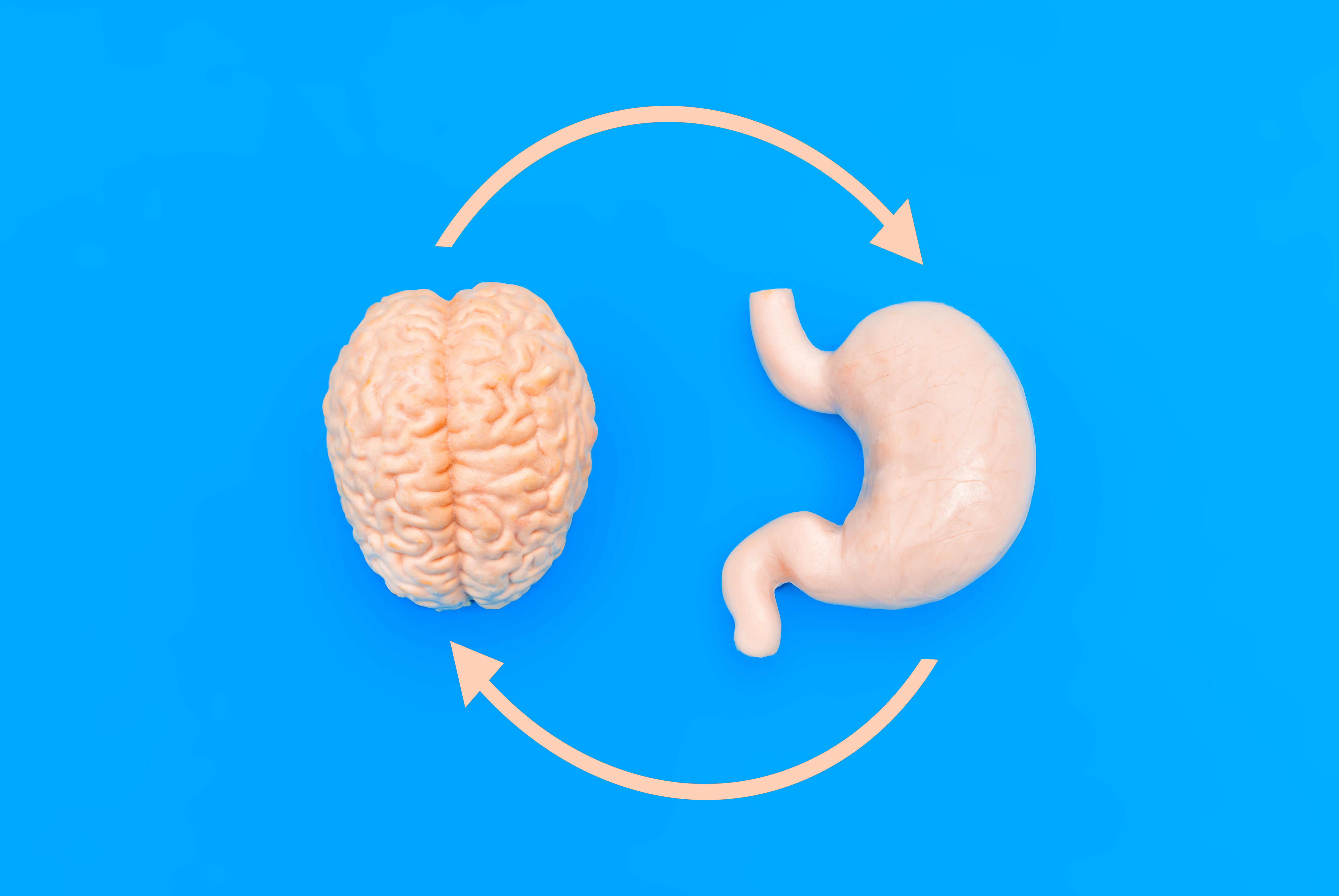 Unlocking Vitality: Innovative Approaches to the Gut-Brain Connection