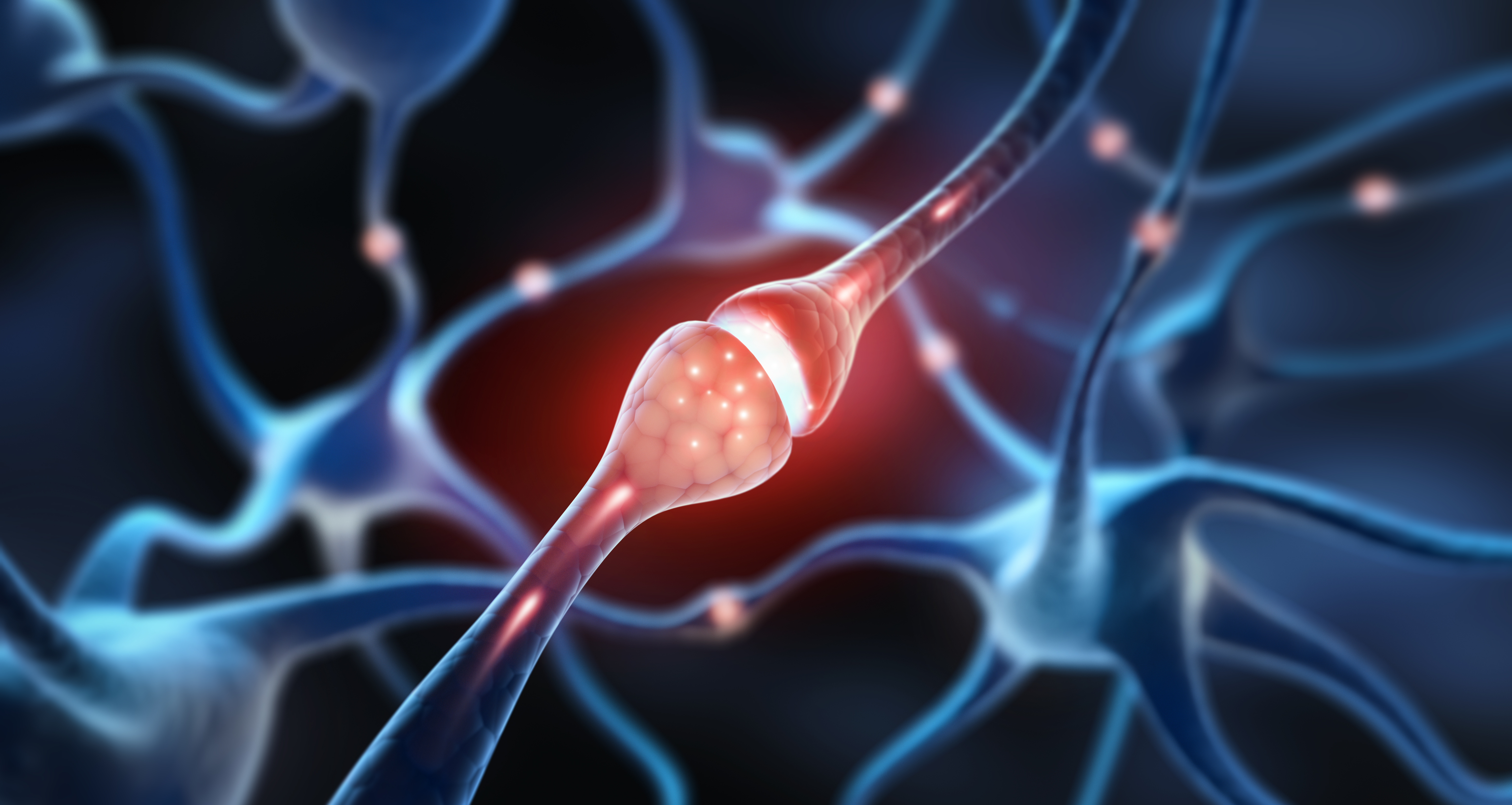 Unlocking Calm: The Vital Role of Nervous System Regulation in Autoimmune Inflammation