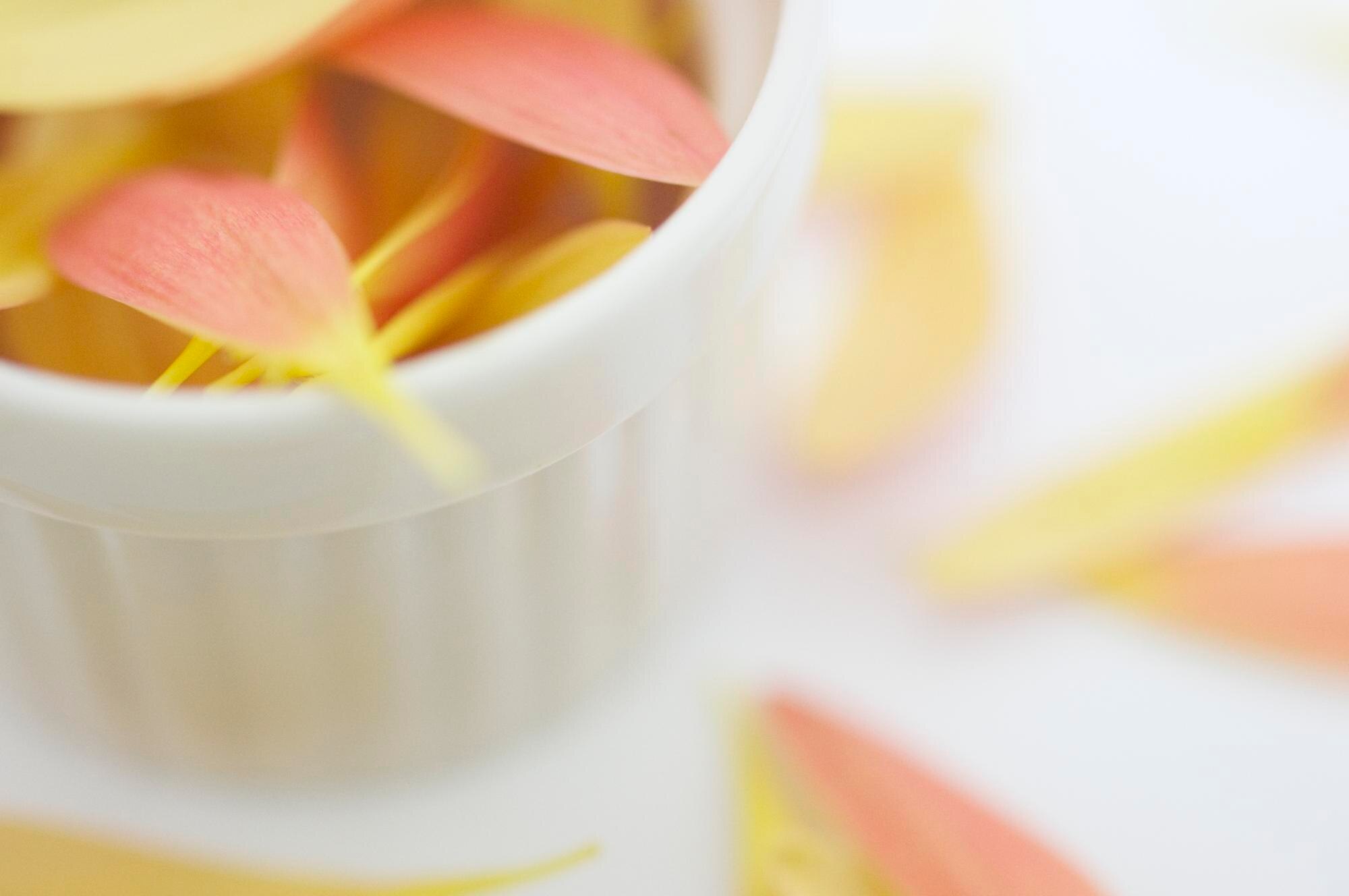 Breaking the Brain Fog Loop: Repair the Gut–Brain Conversation