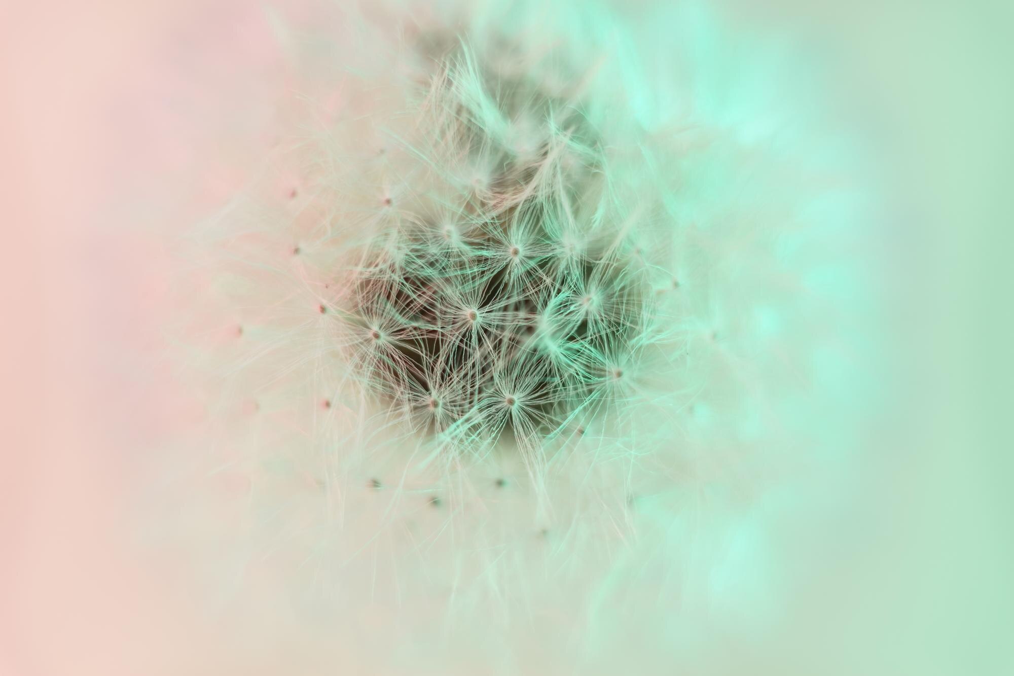 Autoimmune Calm: Nervous-System-Safe Steps to Ease Inflammation