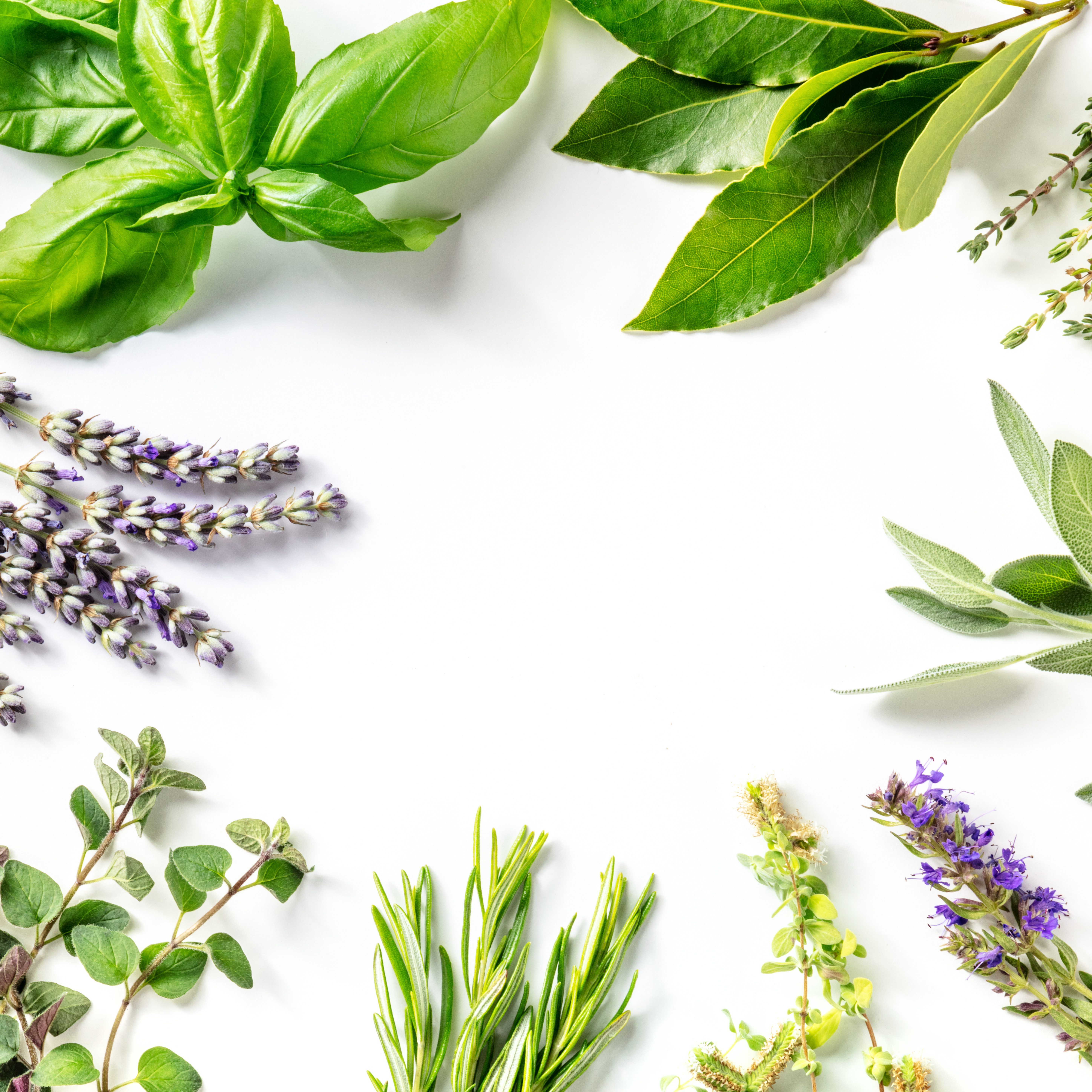 The Thyroid–Adrenal–Blood Sugar Triangle: Your Metabolic Stability Map