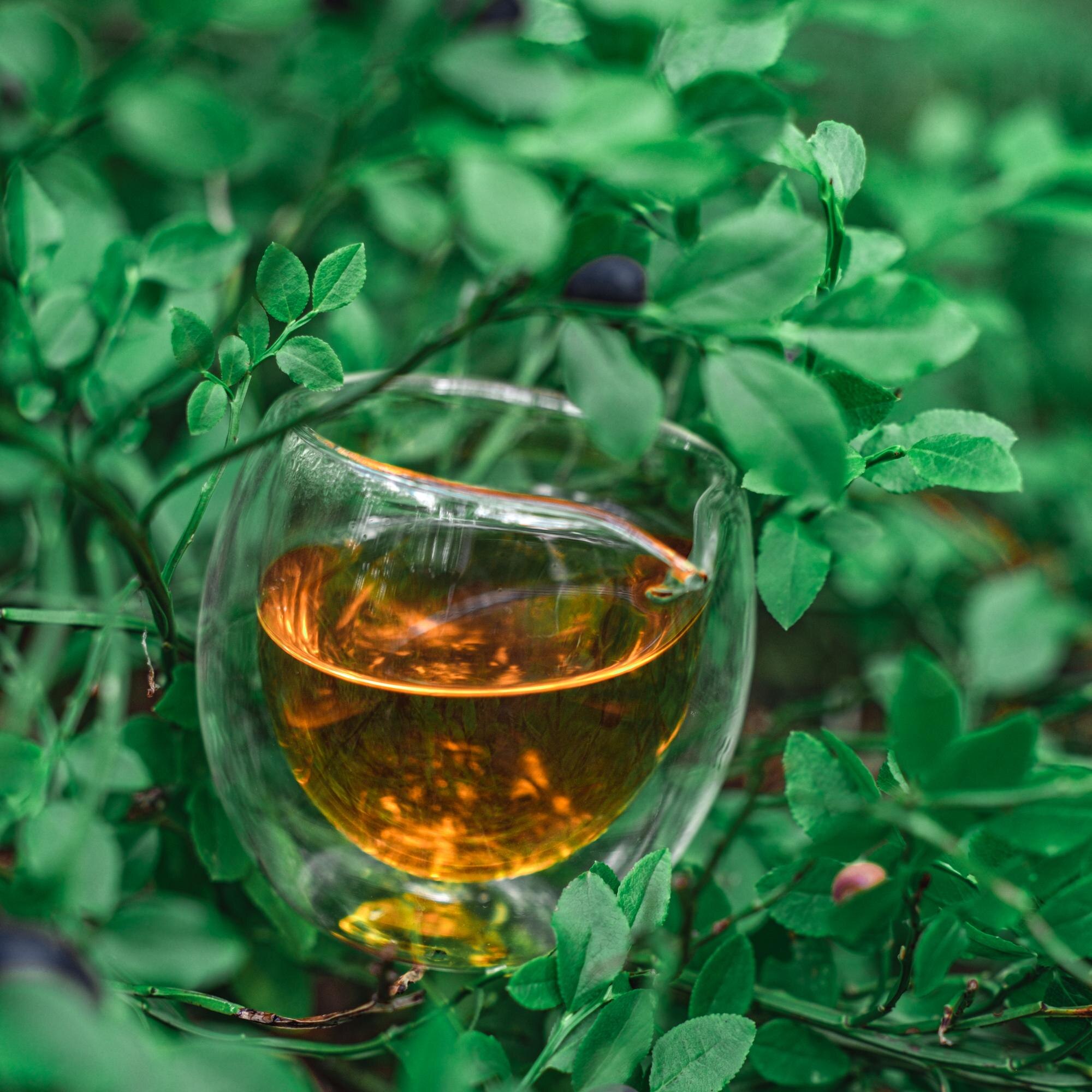 Calm the Stress Switch: How Nervous System Regulation Lowers Inflammation and Eases Fatigue