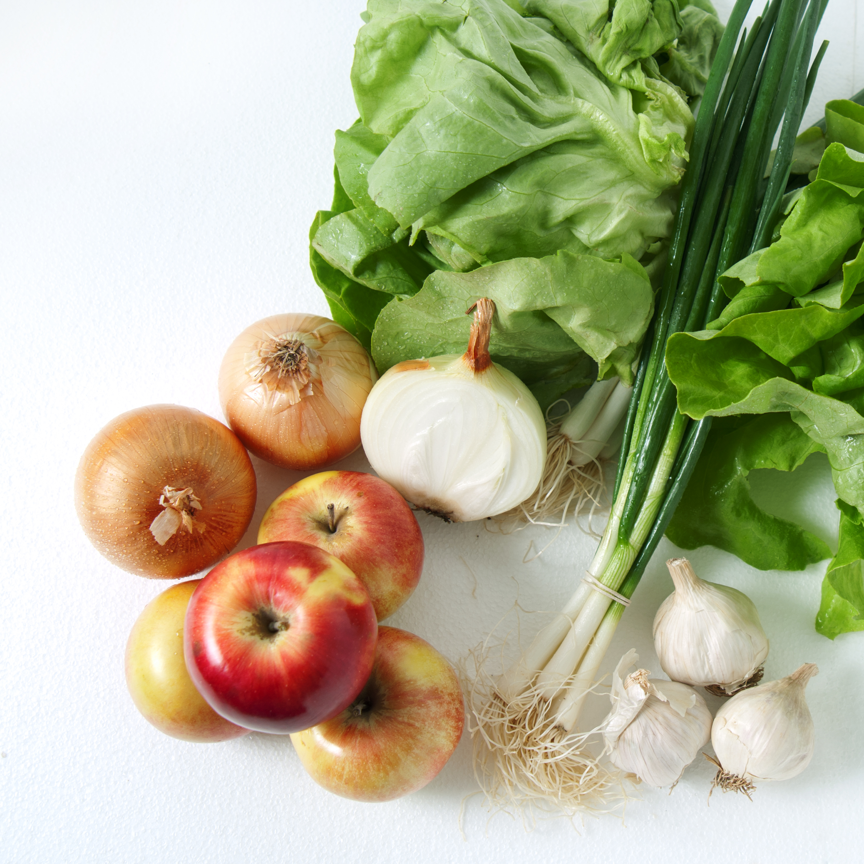 Break the Brain Fog Cycle: Gut-Brain Miscommunication Explained