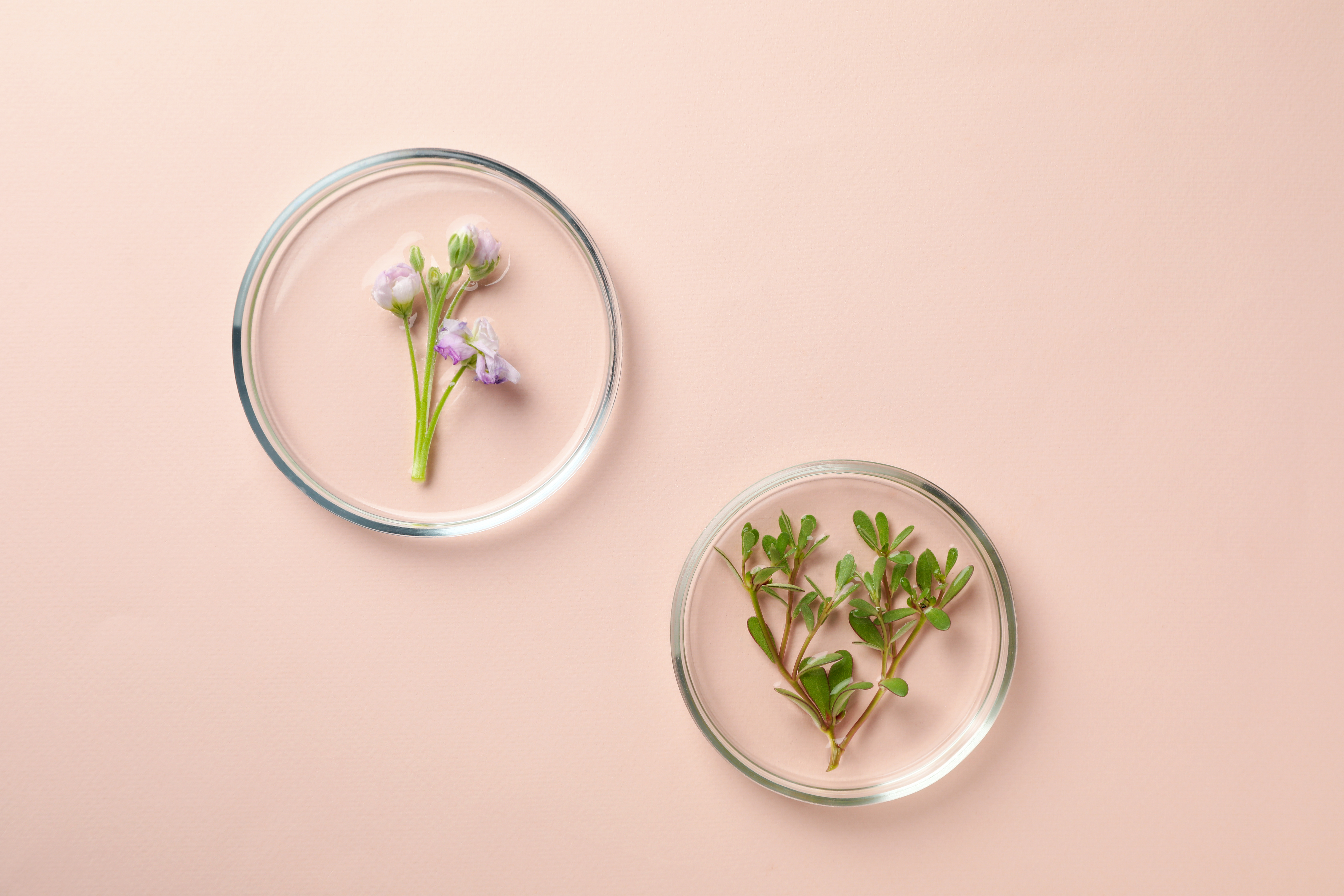 The Gut–Brain–Hormone Loop: Why Symptoms Stick and How to Unwind Them