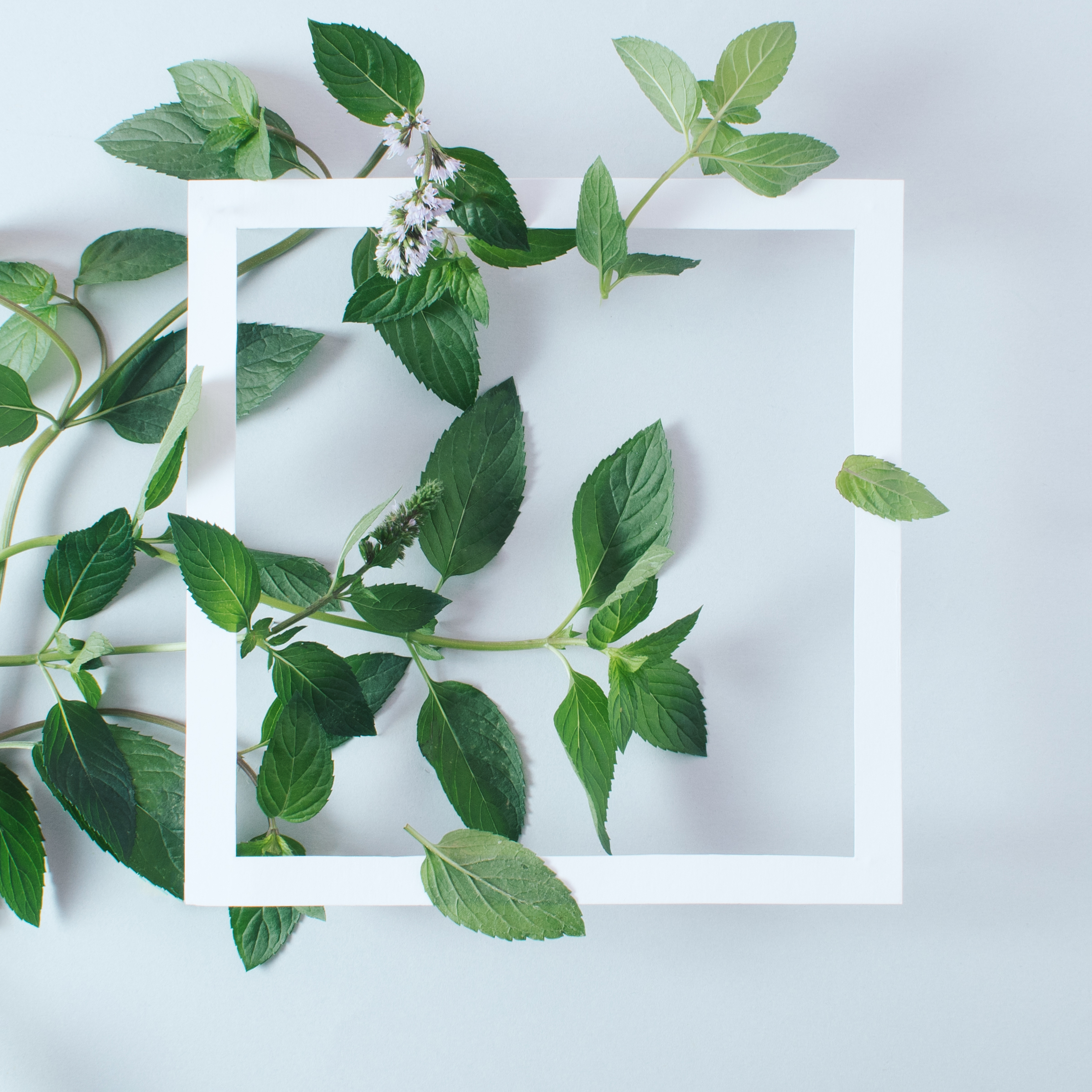 Fatigue, Brain Fog, Mood Shifts: The Gut-Brain-Hormone Link That Makes It Make Sense