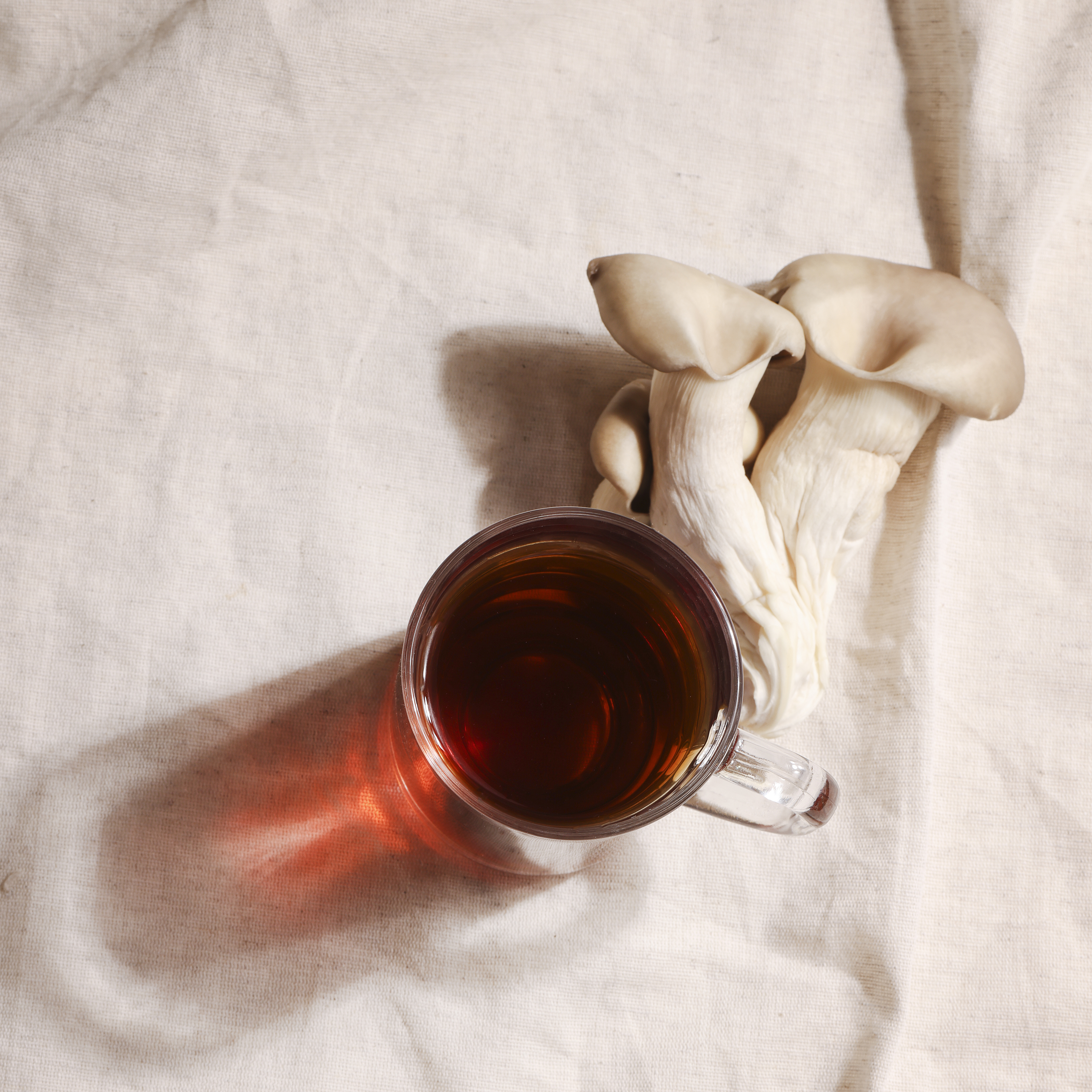 Why perimenopause symptoms often start with subtle gut inflammation — and what practical steps to take