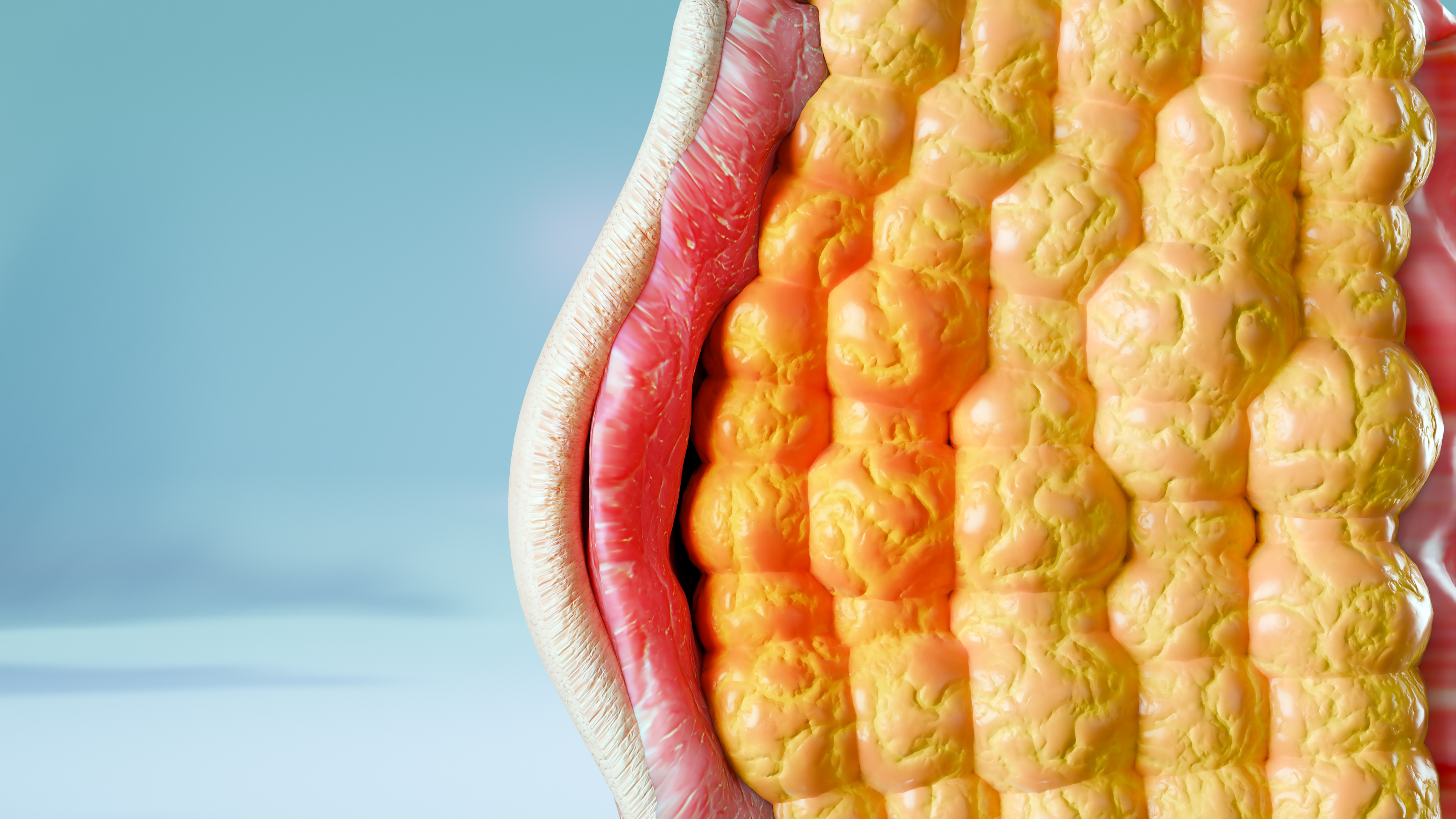 When Your Nervous System Runs Hot, Your Gut and Hormones Feel It