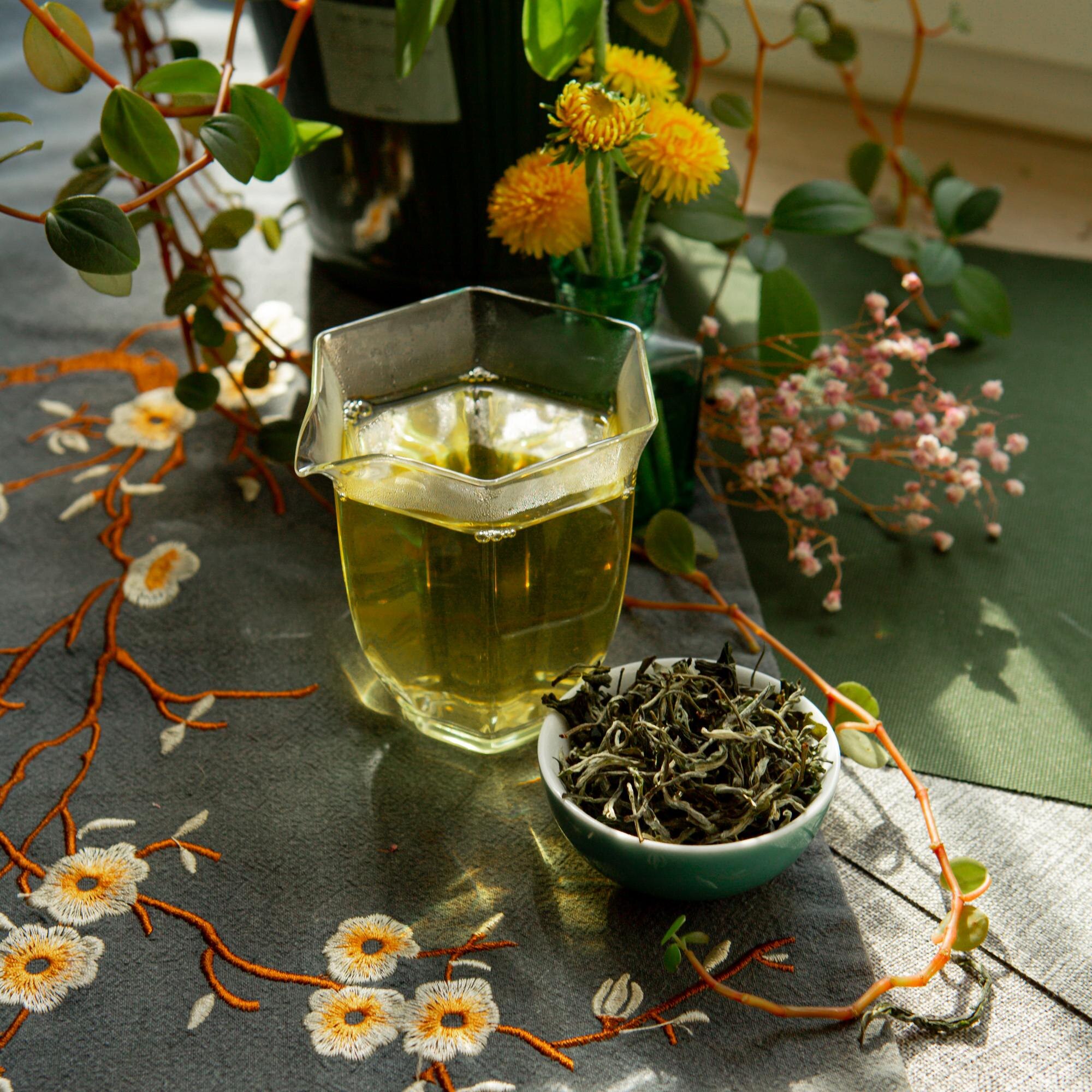 Calm First, Heal Faster: Nervous-System-Safe Ways to Lower Inflammation (Without Overwhelm)