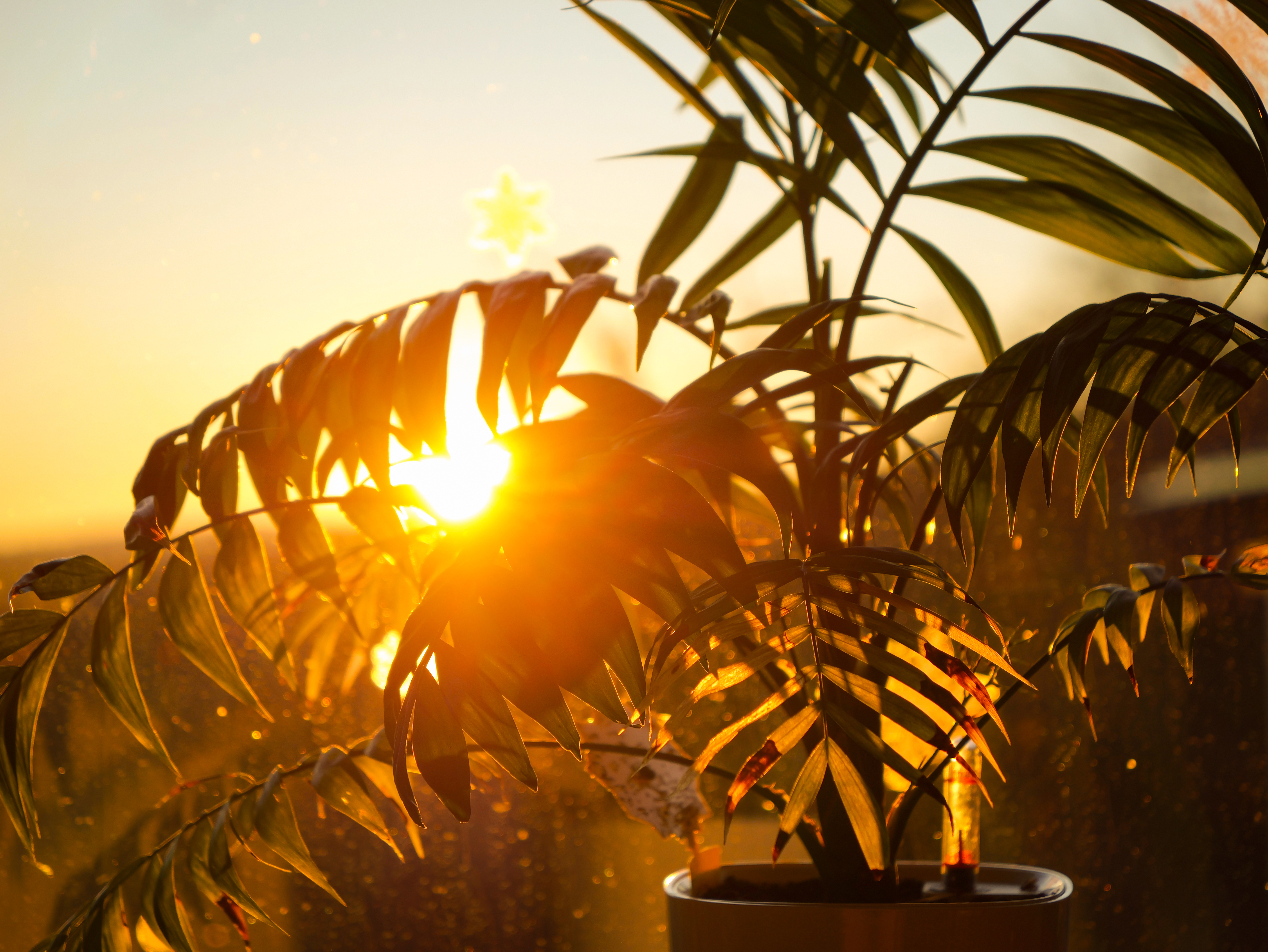 Lower Inflammation Without Overwhelm: Nervous-System-Safe Habits That Rebuild Resilience