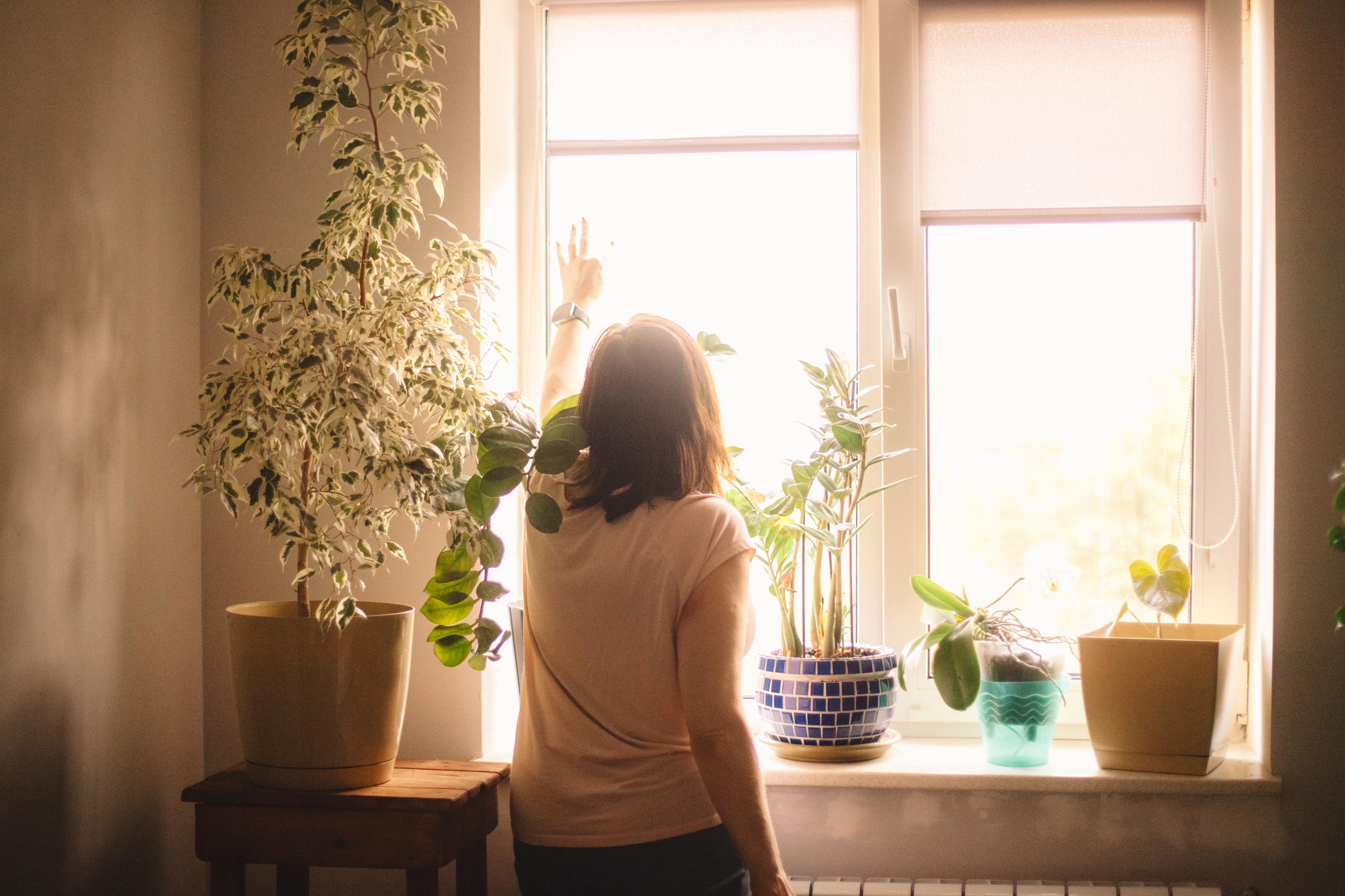 The Gut–Hormone Link in Perimenopause: Why Symptoms Overlap (and How to Stabilize)